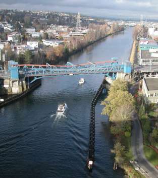 University Bridge